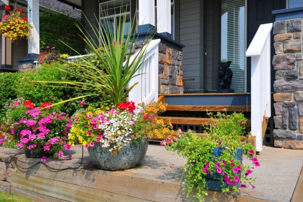 Buy planters in the UK